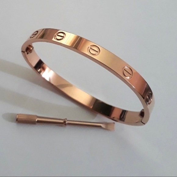 Rose Gold Love Screw Bangle Bracelet and Screw Driver